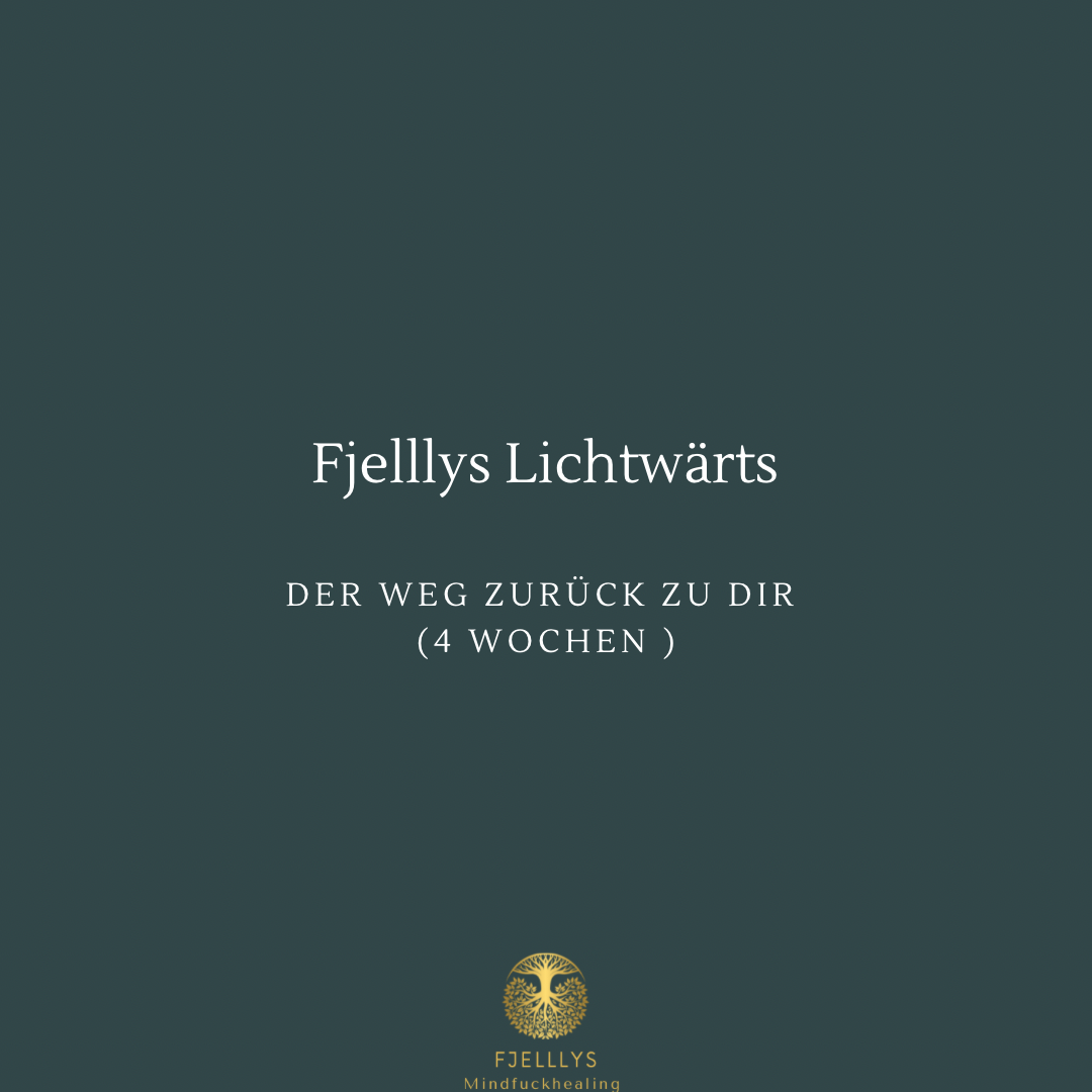 Fjelllys Lichtwärts 4 Wochen Der Weg zurück zu dir !