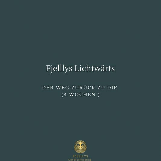 Fjelllys Lichtwärts 4 Wochen Der Weg zurück zu dir !