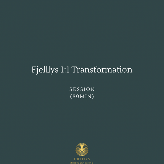 Fjelllys 1:1 Transformation Session 90 Min
